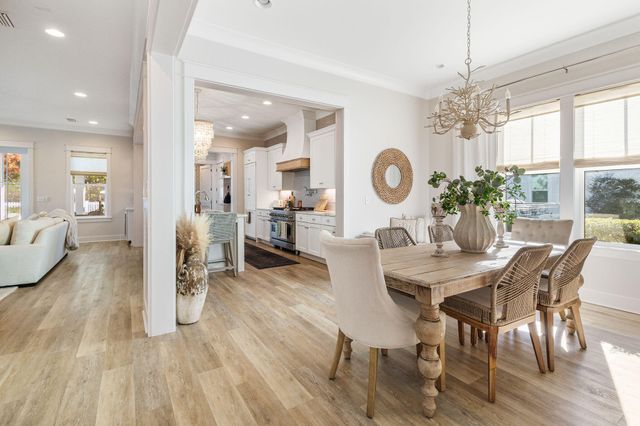 157 E Firethorn Circle, Inlet Beach, FL 32461