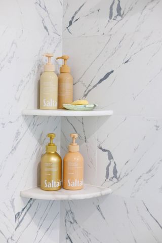 157 E Firethorn Circle, Inlet Beach, FL 32461