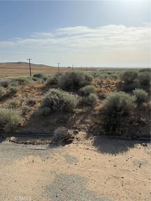 0 Cholla, Helendale, CA 92342