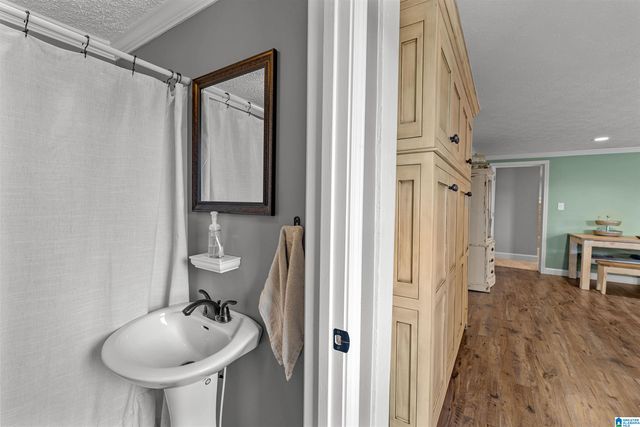 3204 COUNTY ROAD 43, Wadley, AL 36276