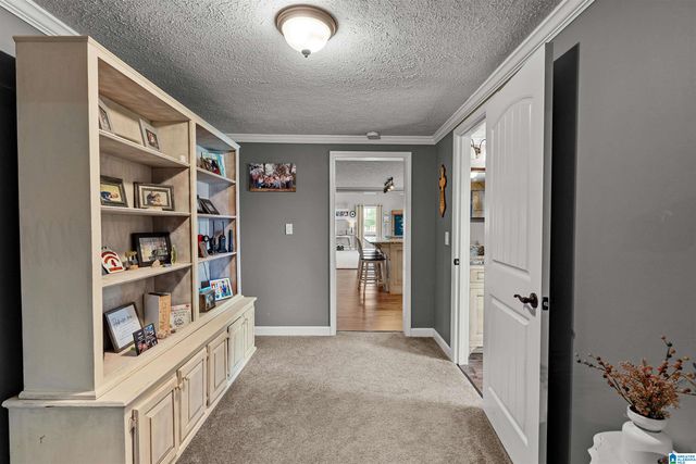 3204 COUNTY ROAD 43, Wadley, AL 36276