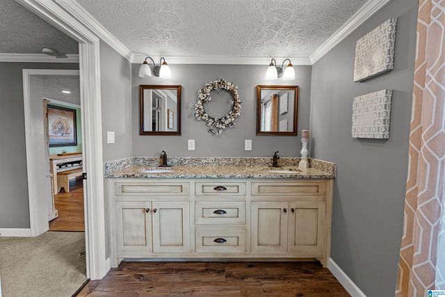 3204 COUNTY ROAD 43, Wadley, AL 36276