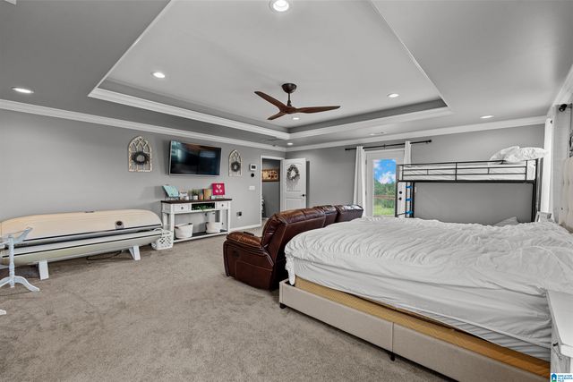 3204 COUNTY ROAD 43, Wadley, AL 36276