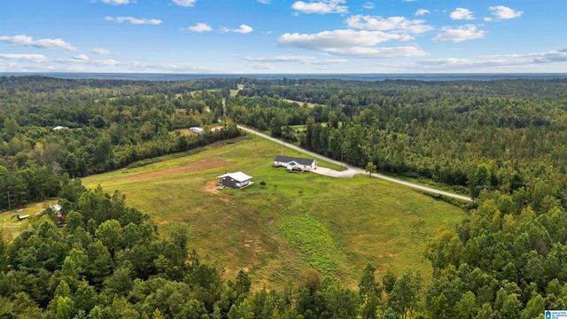 3204 COUNTY ROAD 43, Wadley, AL 36276