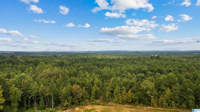 3204 COUNTY ROAD 43, Wadley, AL 36276