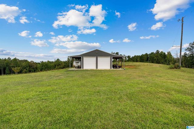 3204 COUNTY ROAD 43, Wadley, AL 36276