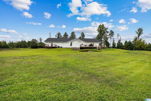 3204 COUNTY ROAD 43, Wadley, AL 36276