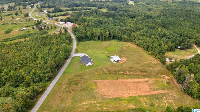3204 COUNTY ROAD 43, Wadley, AL 36276