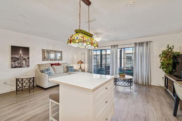 5969 TERRACE PARK DRIVE N 307, St Petersburg, FL 33709