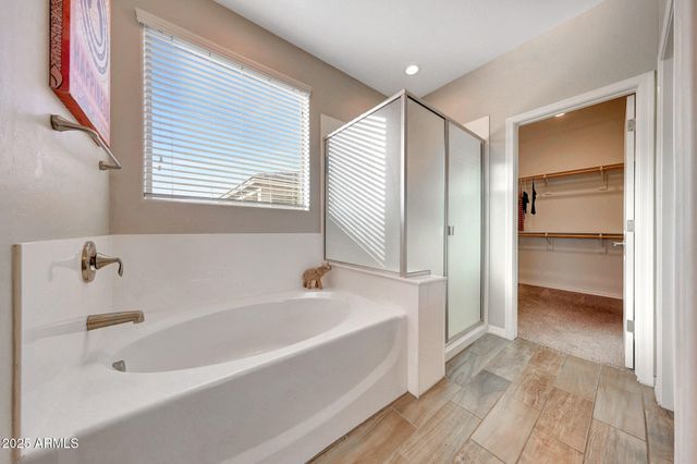 17399 W SPRING Drive, Goodyear, AZ 85338