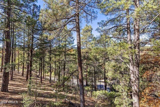 2082 WILLIAM PALMER --, Flagstaff, AZ 86005