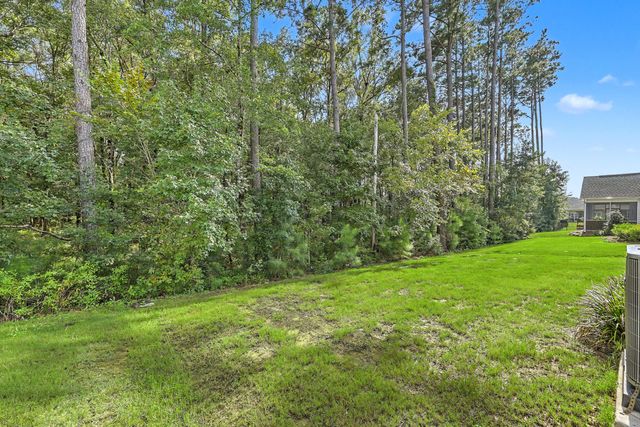 1142 Kane Blue, Summerville, SC 29485