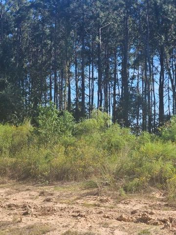 2049 Road 5913, Cleveland, TX 77327