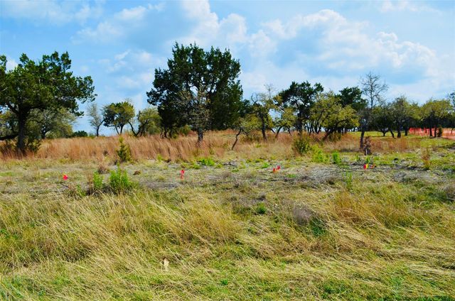 115 Arabian LN, Driftwood, TX 78619