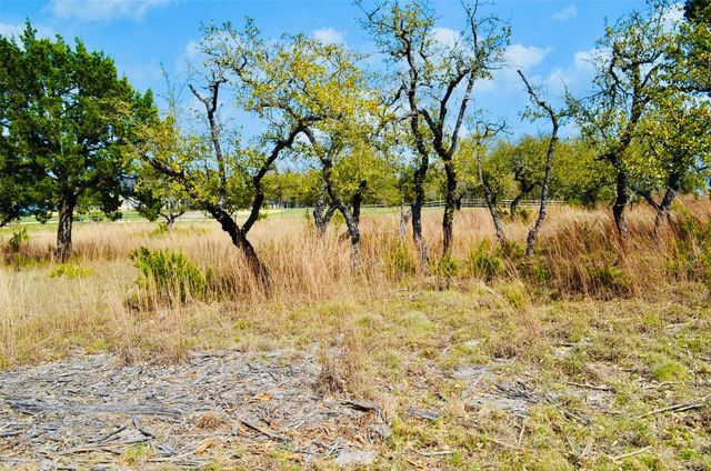 115 Arabian LN, Driftwood, TX 78619