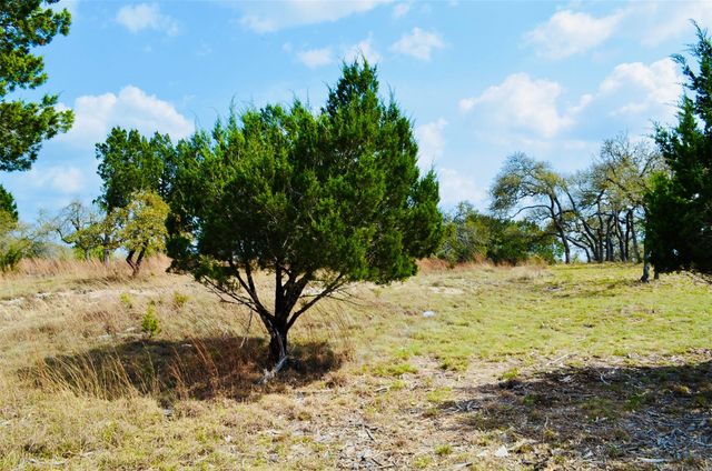 115 Arabian LN, Driftwood, TX 78619