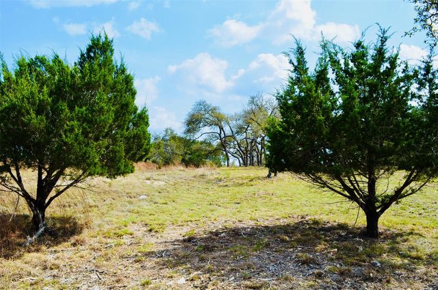 115 Arabian LN, Driftwood, TX 78619