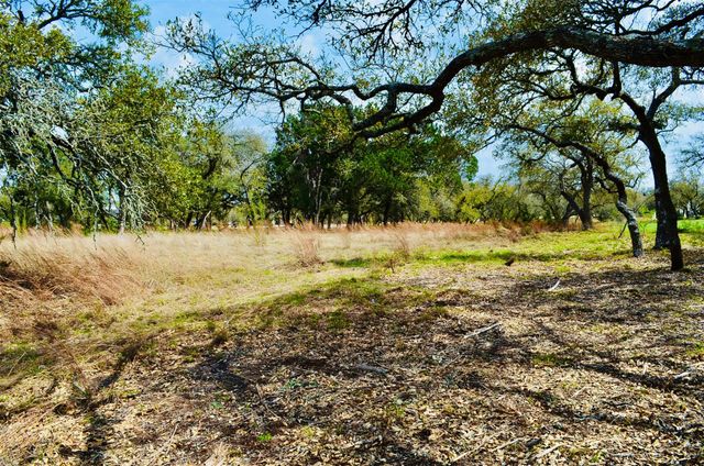 115 Arabian LN, Driftwood, TX 78619