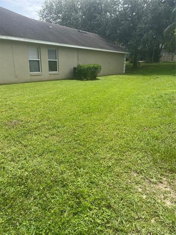 375 MAUDEHELEN STREET, Apopka, FL 32703