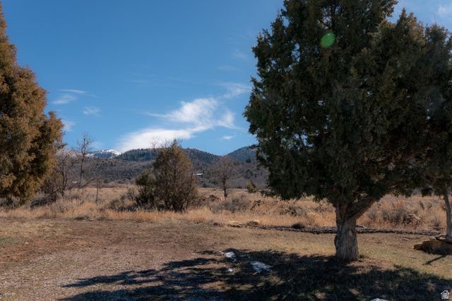 14330 N 12000 E, Mt Pleasant, UT 84647