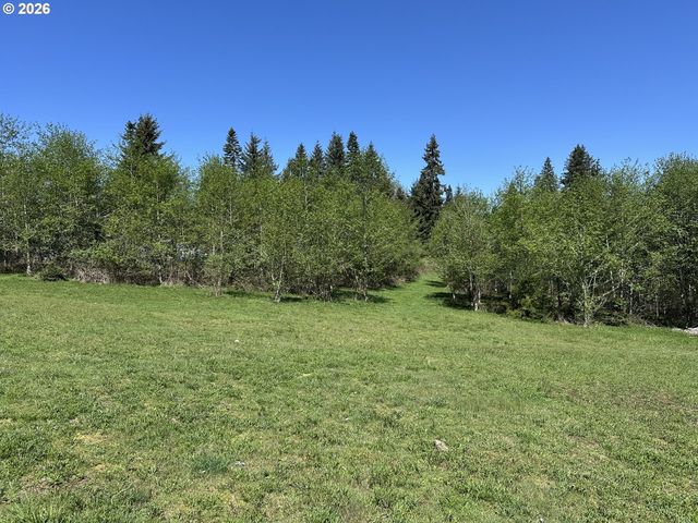 1480 S SILVER LAKE Rd, Castle Rock, WA 98611