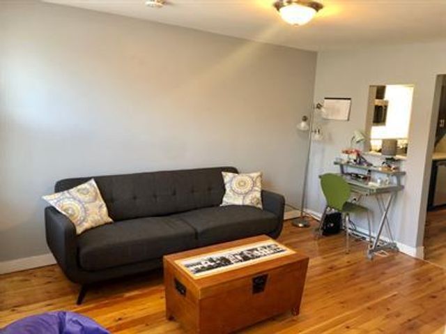 1901 S Ruble Street, Chicago, IL 60616