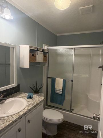 317 Buena Vista Drive, Lillian, AL 36549