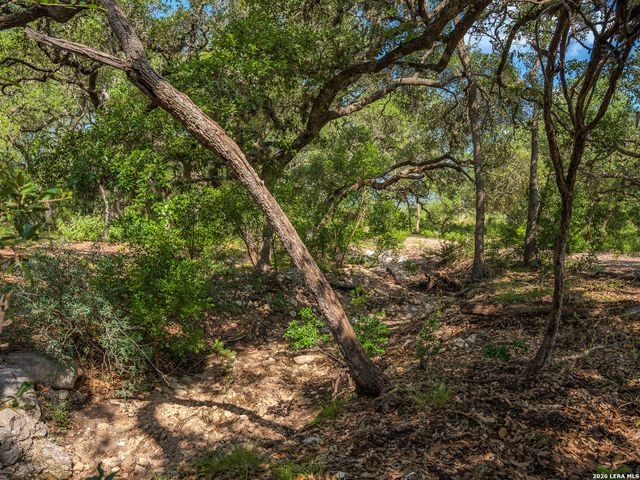 401 PR 2410, Hondo, TX 78861