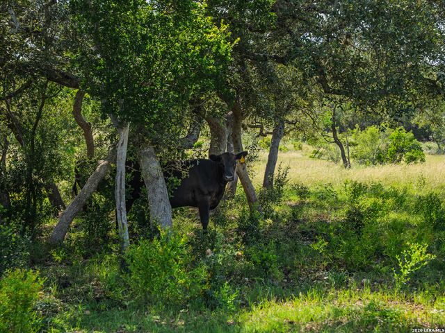 401 PR 2410, Hondo, TX 78861