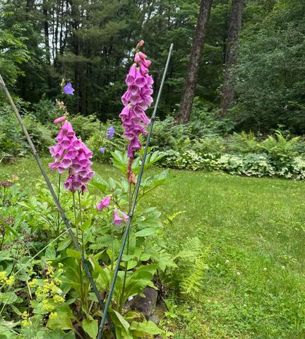 13 Tanglewood Drive, Essex, VT 05452