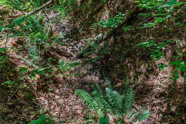 Lot 103R Mountain Creek Hollow Drive, Talking Rock, GA 30175