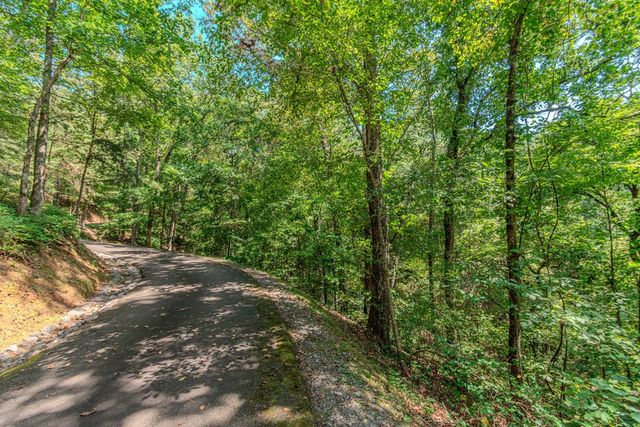 Lot 103R Mountain Creek Hollow Drive, Talking Rock, GA 30175