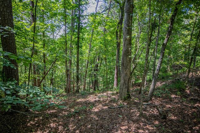 Lot 103R Mountain Creek Hollow Drive, Talking Rock, GA 30175