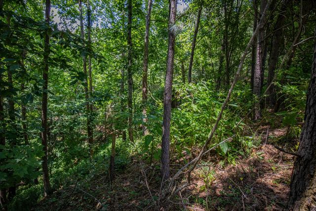 Lot 103R Mountain Creek Hollow Drive, Talking Rock, GA 30175