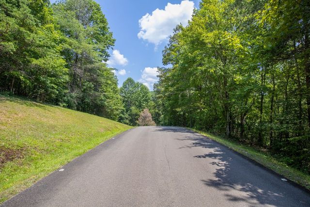 Lot 103R Mountain Creek Hollow Drive, Talking Rock, GA 30175