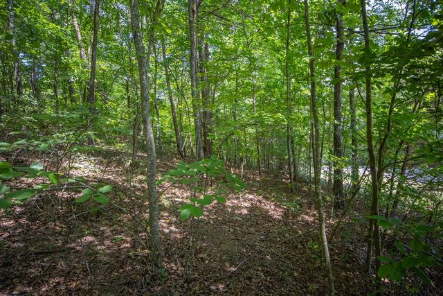 Lot 103R Mountain Creek Hollow Drive, Talking Rock, GA 30175