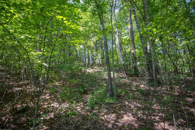 Lot 103R Mountain Creek Hollow Drive, Talking Rock, GA 30175