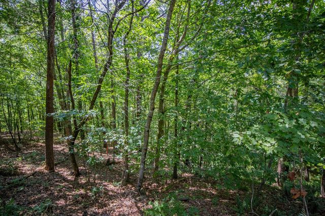 Lot 103R Mountain Creek Hollow Drive, Talking Rock, GA 30175