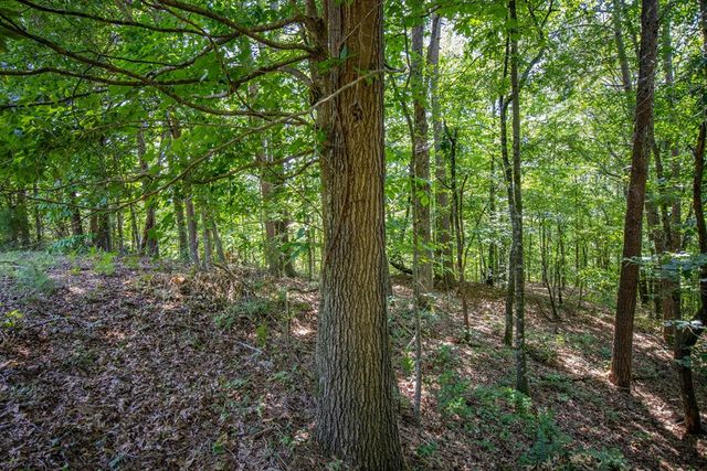 Lot 103R Mountain Creek Hollow Drive, Talking Rock, GA 30175