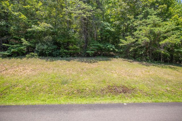 Lot 103R Mountain Creek Hollow Drive, Talking Rock, GA 30175