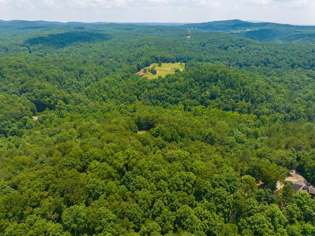 Lot 103R Mountain Creek Hollow Drive, Talking Rock, GA 30175