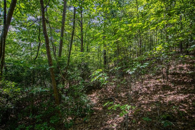 Lot 103R Mountain Creek Hollow Drive, Talking Rock, GA 30175