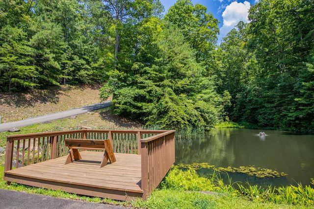 Lot 103R Mountain Creek Hollow Drive, Talking Rock, GA 30175