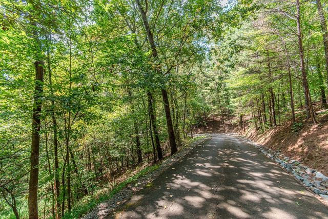 Lot 103R Mountain Creek Hollow Drive, Talking Rock, GA 30175