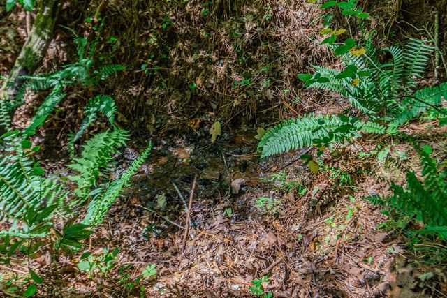 Lot 103R Mountain Creek Hollow Drive, Talking Rock, GA 30175