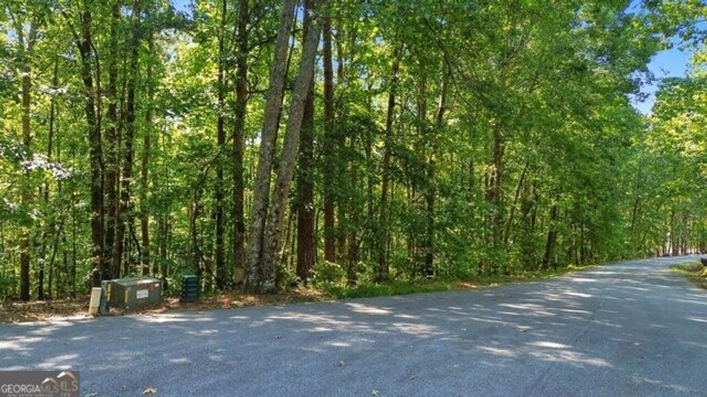0 Rome Beauty Lane LOT 1109, Clarkesville, GA 30523 — exterior