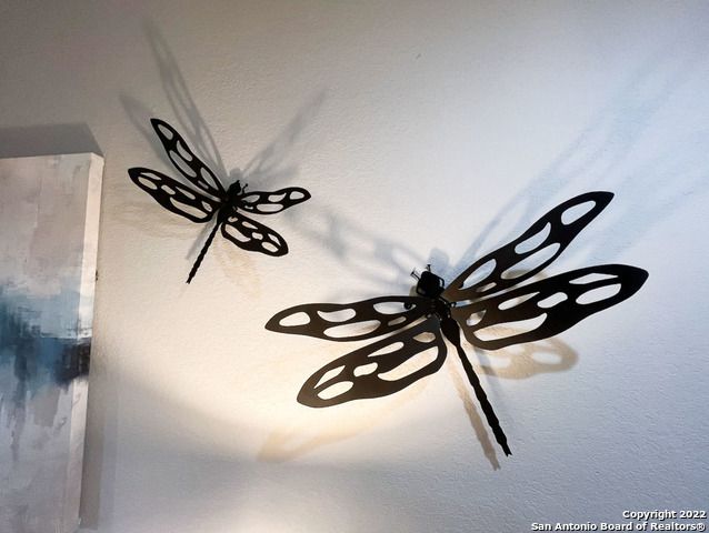 223 RUDOLPH, San Antonio, TX 78202