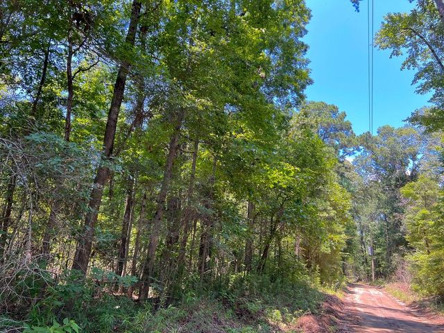 1 New Haven Road, Milam, TX 75948