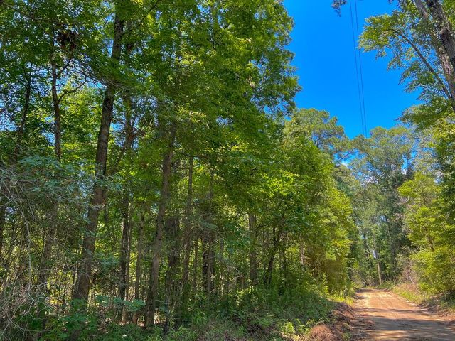 1 New Haven Road, Milam, TX 75948