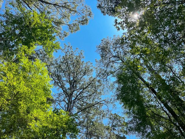 1 New Haven Road, Milam, TX 75948